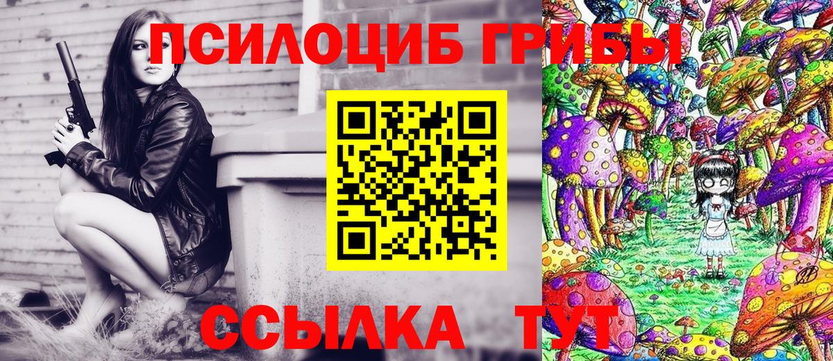 Галлюциногенные грибы GOLDEN TEACHER Чернушка