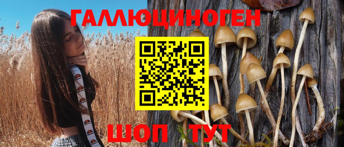 Псилоцибиновые грибы Cubensis  Вход с VPN  Галлюциногенные грибы Magic Shrooms  Чернушка 